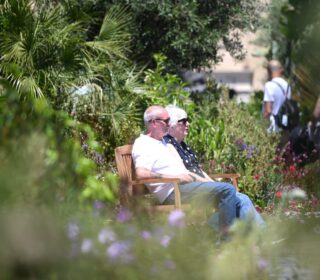 A photo showing people relaxing at the Valletta Green Festival