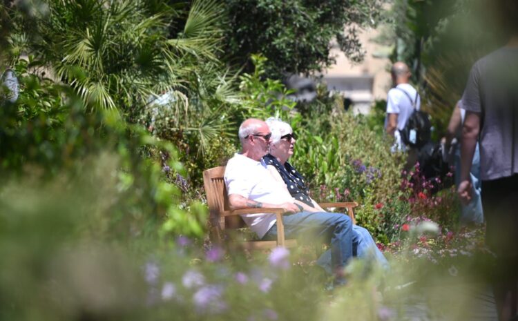 A photo showing people relaxing at the Valletta Green Festival