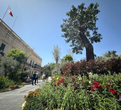 A photo showing the lush greenery and flowering plants in St George’s Square, Valletta, with the Grandmaster’s Palace in the background displaying the Maltese flag.